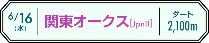 6/16 関東オークス(JpnII) 2,100m